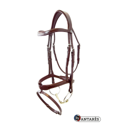 Brida Signature by Antares muserola combinada Signature