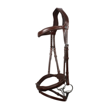 Brida Signature sport de Antares con muserola combinada