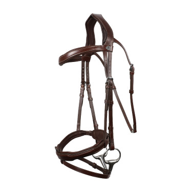 Brida Signature sport de Antares con muserola combinada