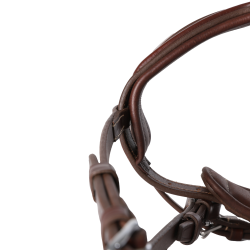 Brida Signature sport de Antares con muserola combinada