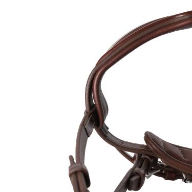 Brida Signature sport de Antares con muserola combinada