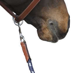 Línea de atar Antares