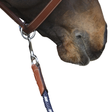 Línea de atar Antares