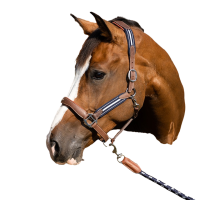 Cabezada Antares antiestrés granulada