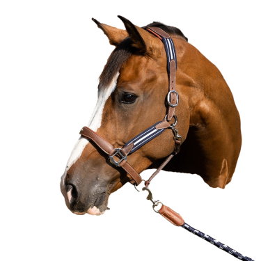 Cabezada Antares antiestrés granulada