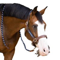 Cabezada Antares antiestrés granulada