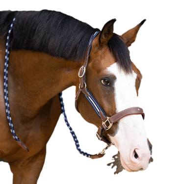 Cabezada Antares antiestrés granulada