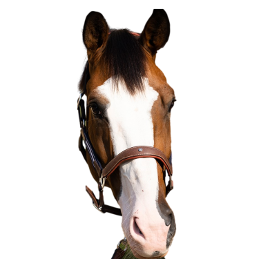 Cabezada Antares antiestrés granulada