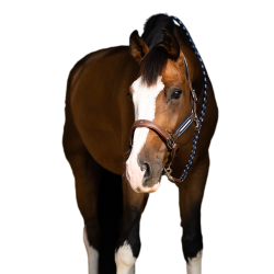 Cabezada Antares antiestrés granulada