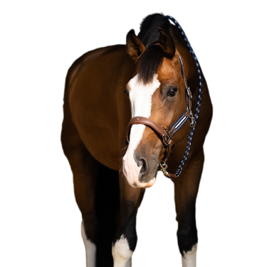 Cabezada Antares antiestrés granulada