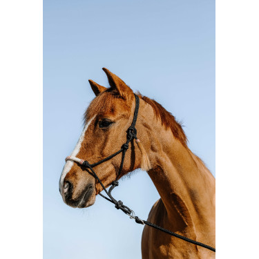 Licol éthologique WESTRIDE - Western