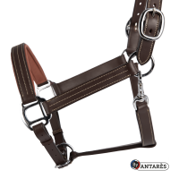 Cabezada de cuero Signature by Antares anatómica