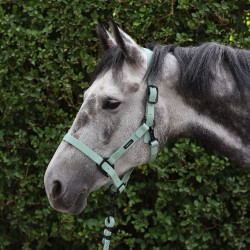 Ramales de amarre LAMI-CELL - Midnight