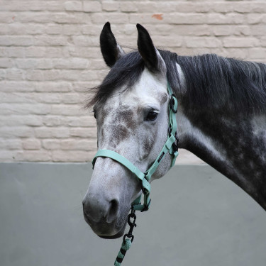 Ramales de amarre LAMI-CELL - Midnight