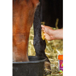 EQUINATURA Gel refrigerante