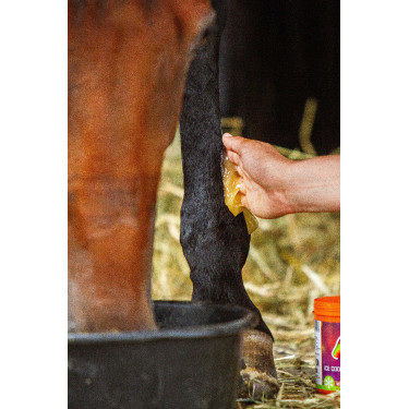 EQUINATURA Gel refrigerante
