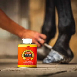 Aceite para cascos Carr & Day & Martin Daily Hoof Moisturiser Cornucrescine Aceite para cascos Carr & Day & Martin Daily Hoof Moisturiser Cornucrescine