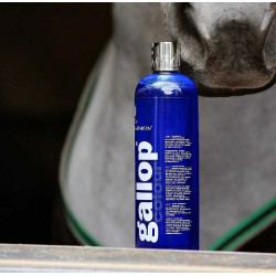 Champú Gallop® Carr & Day & Martin Gris Champú Gallop® Carr & Day & Martin Gris