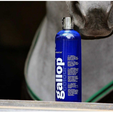 Champú Gallop® Carr & Day & Martin Gris Champú Gallop® Carr & Day & Martin Gris