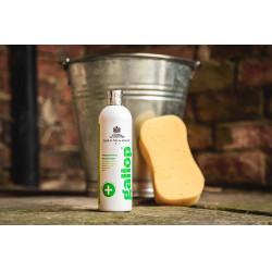 Champú antibacteriano Gallop® Carr & Day & Martin Champú antibacteriano Gallop® Carr & Day & Martin