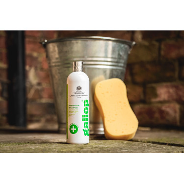 Champú antibacteriano Gallop® Carr & Day & Martin Champú antibacteriano Gallop® Carr & Day & Martin