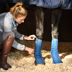 Stable chaps Equilibrium Azul marino Stable chaps Equilibrium Azul marino