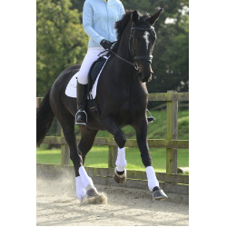 Gamascheras completas S&F Equilibrium Gamascheras completas S&F Equilibrium
