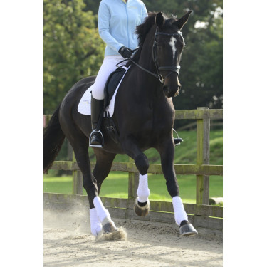 Gamascheras completas S&F Equilibrium Gamascheras completas S&F Equilibrium