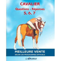 Preguntas / Respuestas 5 a 7 y Grado 2