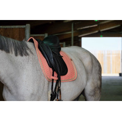 Mantilla Equithème Softy