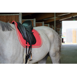Mantilla Equithème Softy