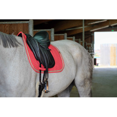 Mantilla Equithème Softy