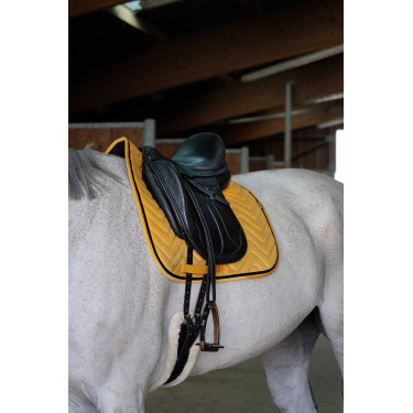 Mantilla EQUITHÈME Glossy Mantilla EQUITHÈME Glossy