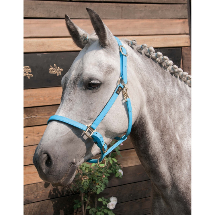 Cabezada de cuadra Biotack® T de T