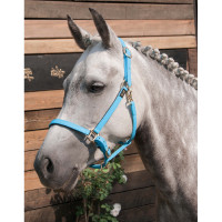 Cabezada de cuadra Biotack® T de T Cielo azul