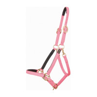 Cabezada de cuadra Biotack® T de T Rosa
