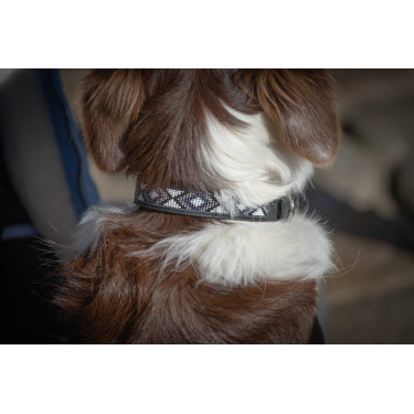 Collar para perro Pénélope Pearl
