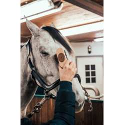 Cepillo de cabeza Borstiq