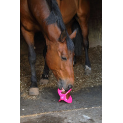 Bizzy Ball Likit Fucsia Rosa