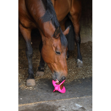 Bizzy Ball Likit Fucsia Rosa