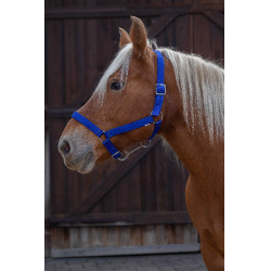 Cabezada para caballo de tiro Norton Pro