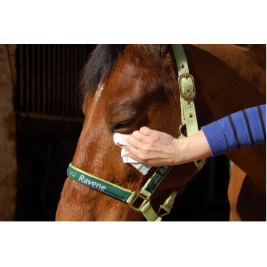 Easy Shine Ravene Wipe