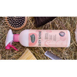 Easy Shine Ravene Recarga ecológica