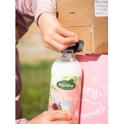 Easy Shine Ravene Recarga ecológica