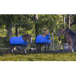 Manta Equi-Theme Tyrex 1200D Aisance Azúl / negro