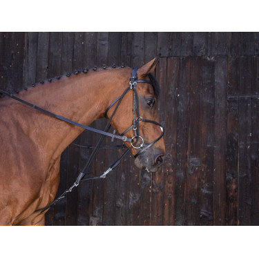 Gogue con poleas Riding World Negro
