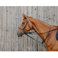 Chambón Norton Pro Thiedeman Negro