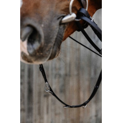 Chambón Norton Pro Thiedeman