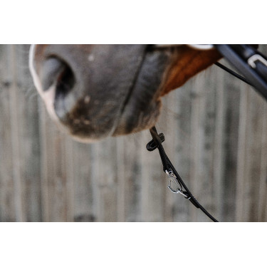 Chambón Norton Pro Thiedeman