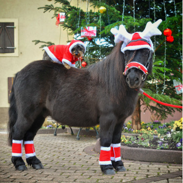 Orejeras de Navidad con forma de madera de reno